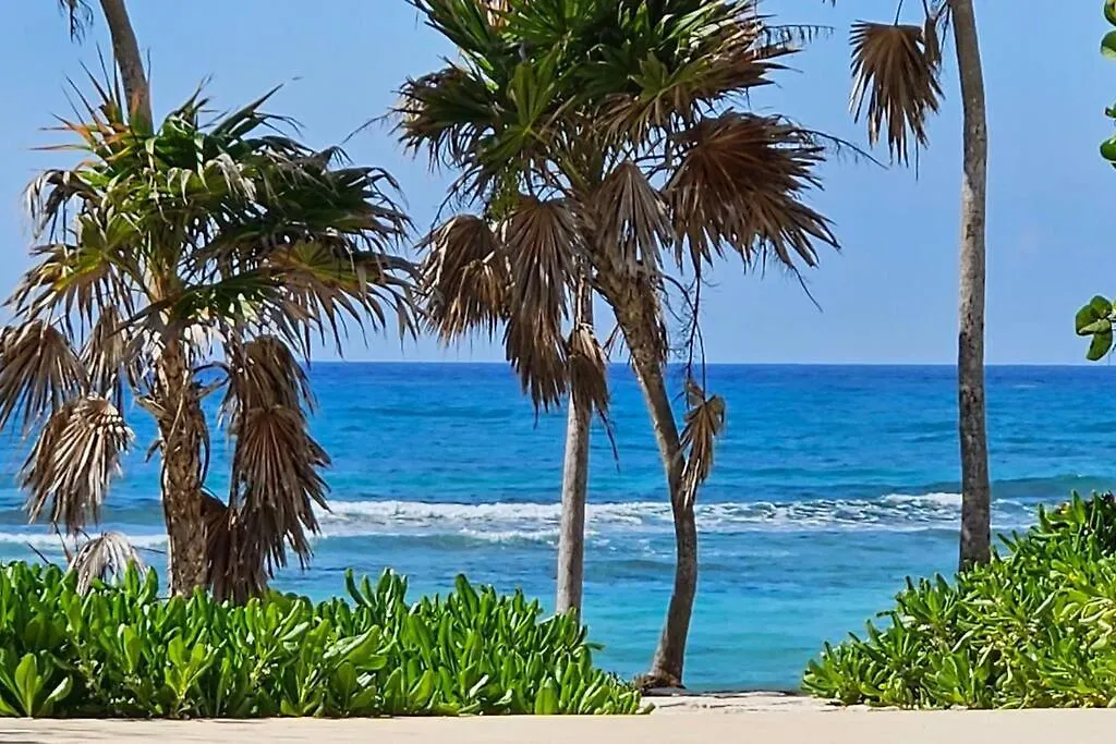 A Sanctuary By The Sea Apartment Akumal Mexico
